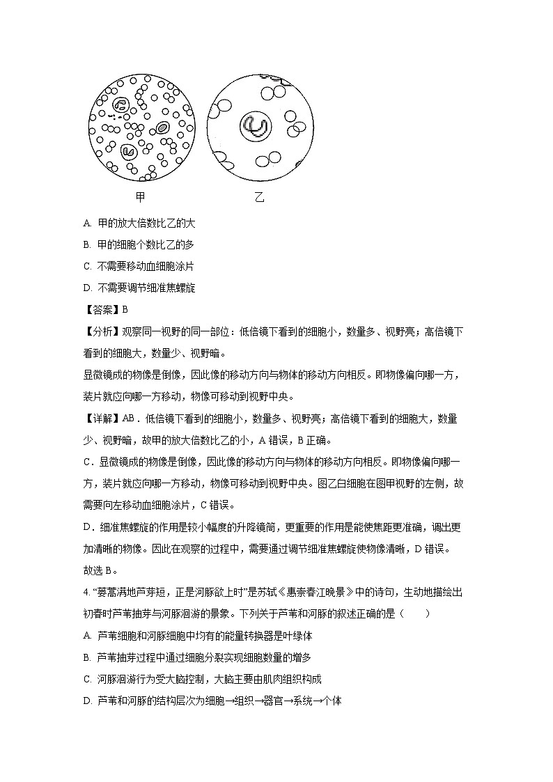 [生物]2024年山东省临沂市郯城县初中学业水平考试模拟试题(二)试题(解析版)第3页
