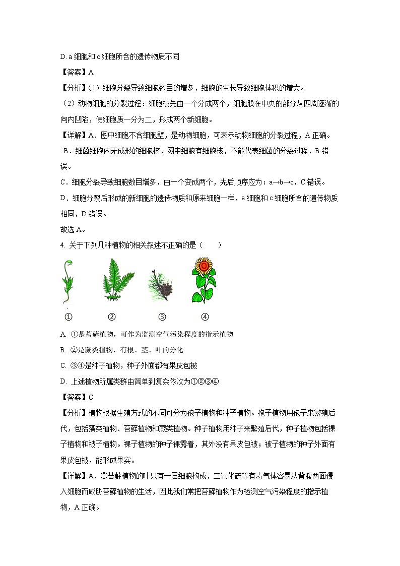 [生物]2024年山东省滨州市阳信县初中学生学业水平模拟考试试题(解析版)03