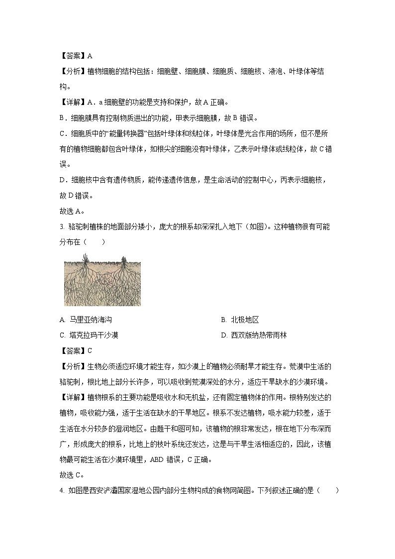 [生物][二模]2024年陕西省渭南市富平县中考试题(解析版)02