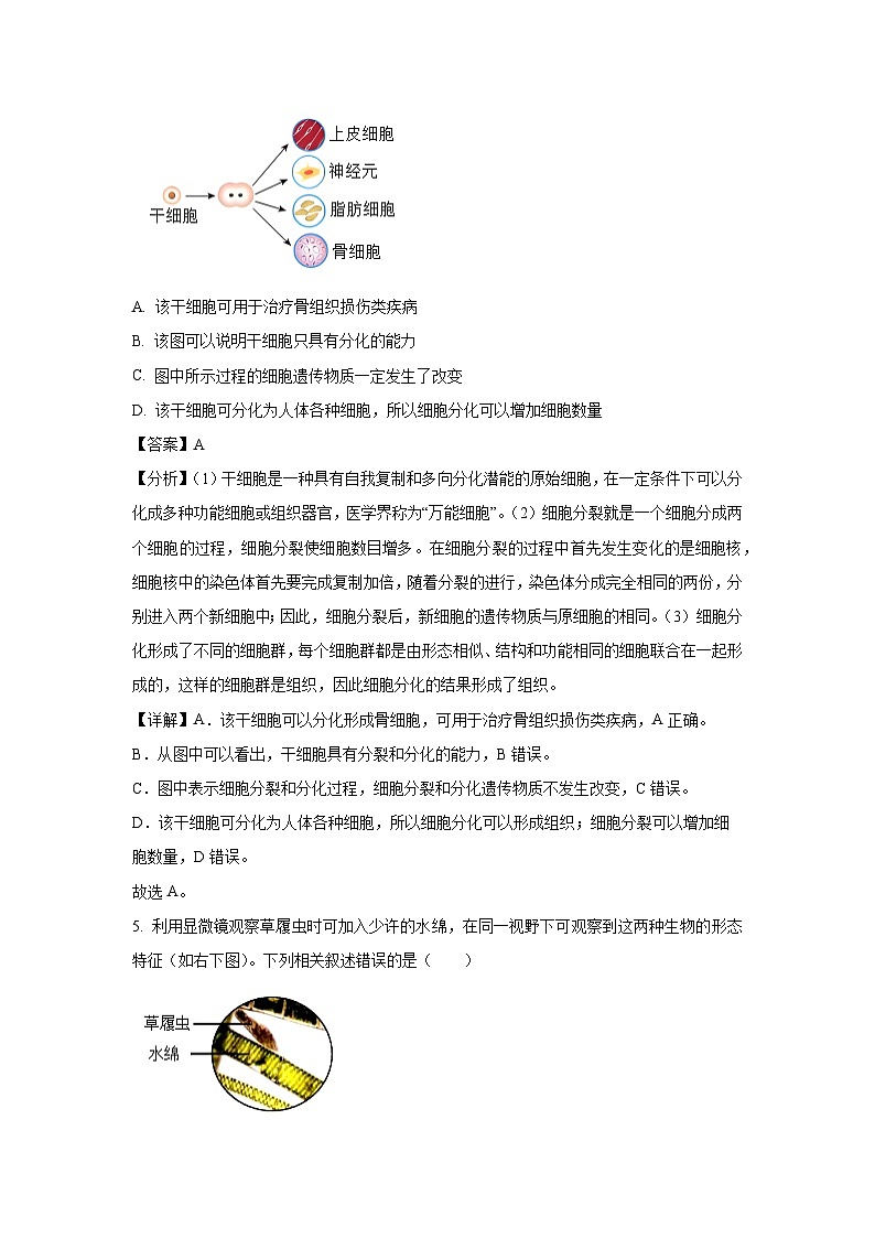 [生物][期中]山东省莱州市2023-2024学年下学期八年级期中试题(解析版)第3页