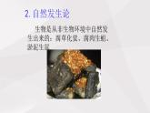 鲁教版（五四制）初中生物七年级上册 第1章 第1节 人的起源与发展 课件