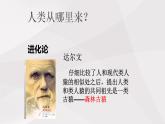 鲁教版（五四制）初中生物七年级上册 第1章 第1节 人的起源与发展 课件