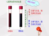 鲁教版（五四制）初中生物七年级上册 第4章 第3节 第2课时 体循环与肺循环  课件