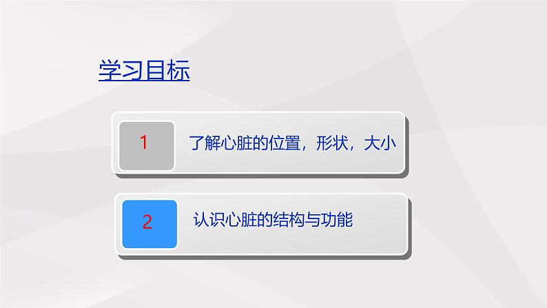 鲁教版（五四制）初中生物七年级上册 第四章 第三节 第一课时 心脏的结构与功能  课件第4页