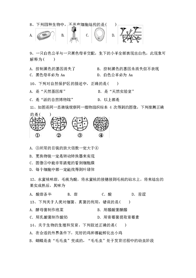人教版八年级生物(下册)期中试卷及答案第2页