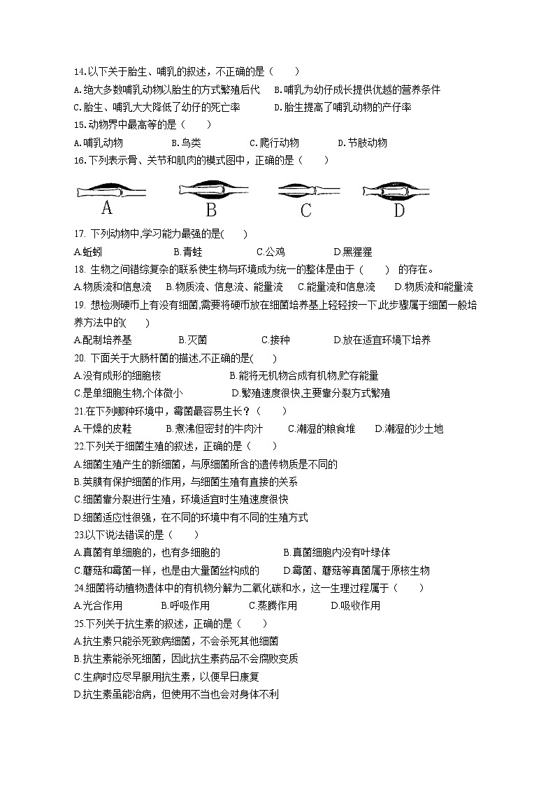 福建云霄元光中学2023-2024学年上学期八年级生物期中试卷02
