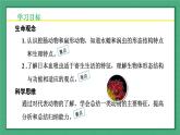 5.1.1  腔肠动物和扁形动物 -2024-2025学年生物八年级上册同步备课高效课件（统编版）
