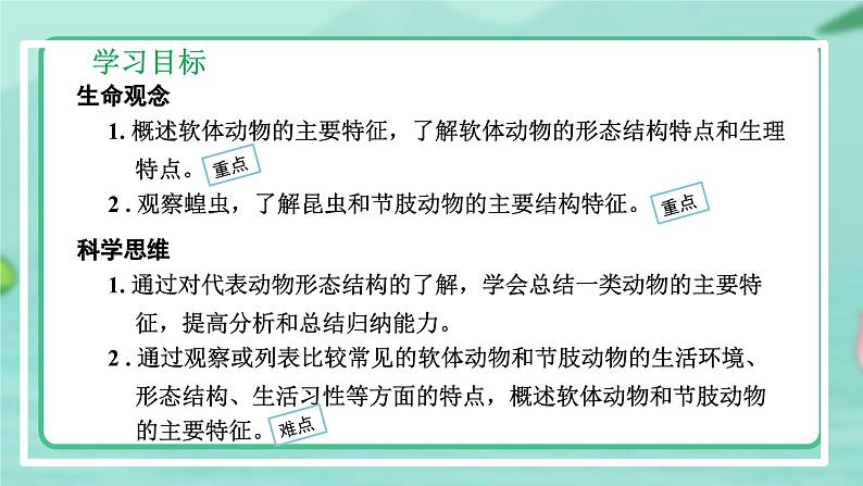 5.1.3 软体动物和节肢动物-2024-2025学年生物八年级上册同步备课高效课件（统编版）03