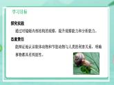 5.1.3 软体动物和节肢动物-2024-2025学年生物八年级上册同步备课高效课件（统编版）