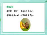 5.1.3 软体动物和节肢动物-2024-2025学年生物八年级上册同步备课高效课件（统编版）