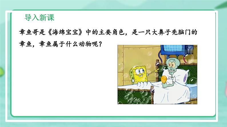 5.1.3 软体动物和节肢动物-2024-2025学年生物八年级上册同步备课高效课件（统编版）07