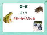 5.1.5  两栖动物和爬行动物 -2024-2025学年生物八年级上册同步备课高效课件（统编版）