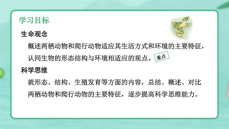 5.1.5  两栖动物和爬行动物 -2024-2025学年生物八年级上册同步备课高效课件（统编版）第3页