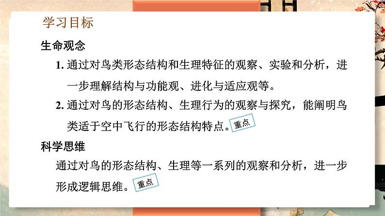 5.1.6 鸟 -2024-2025学年生物八年级上册同步备课高效课件（统编版）第3页