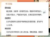 5.1.6 鸟 -2024-2025学年生物八年级上册同步备课高效课件（统编版）
