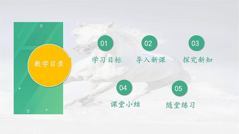 5.1.7 哺乳动物 -2024-2025学年生物八年级上册同步备课高效课件（统编版）02