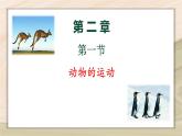 5.2.1  动物的运动-2024-2025学年生物八年级上册同步备课高效课件
