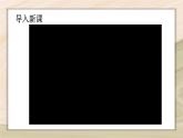 5.2.1  动物的运动-2024-2025学年生物八年级上册同步备课高效课件