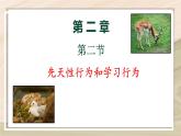 5.2.2  先天性行为和学习行为-2024-2025学年生物八年级上册同步备课高效课件
