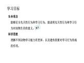 5.2.2  先天性行为和学习行为-2024-2025学年生物八年级上册同步备课高效课件