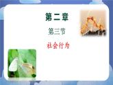 5.2.3  社会行为-2024-2025学年生物八年级上册同步备课高效课件