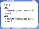 5.2.3  社会行为-2024-2025学年生物八年级上册同步备课高效课件
