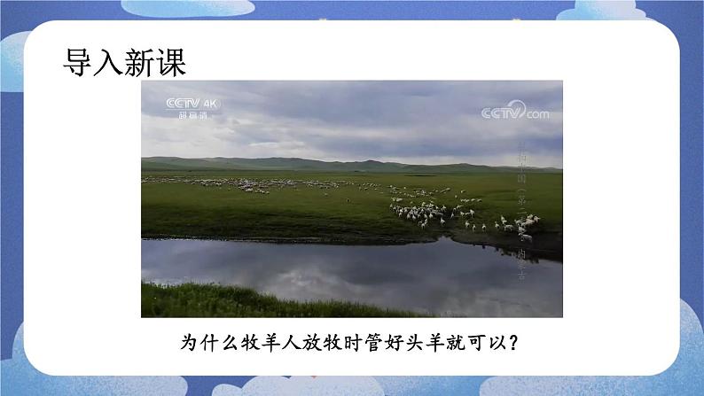 5.2.3  社会行为-2024-2025学年生物八年级上册同步备课高效课件第5页