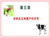 5.3  动物在生物圈中的作用-2024-2025学年生物八年级上册同步备课高效课件