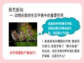 5.3  动物在生物圈中的作用-2024-2025学年生物八年级上册同步备课高效课件