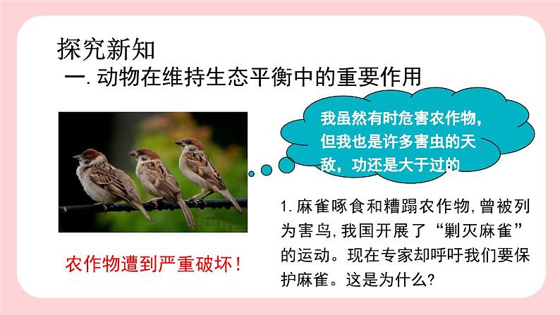 5.3  动物在生物圈中的作用-2024-2025学年生物八年级上册同步备课高效课件第5页