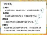 5.4.2  细菌-2024-2025学年生物八年级上册同步备课高效课件