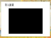 5.4.2  细菌-2024-2025学年生物八年级上册同步备课高效课件