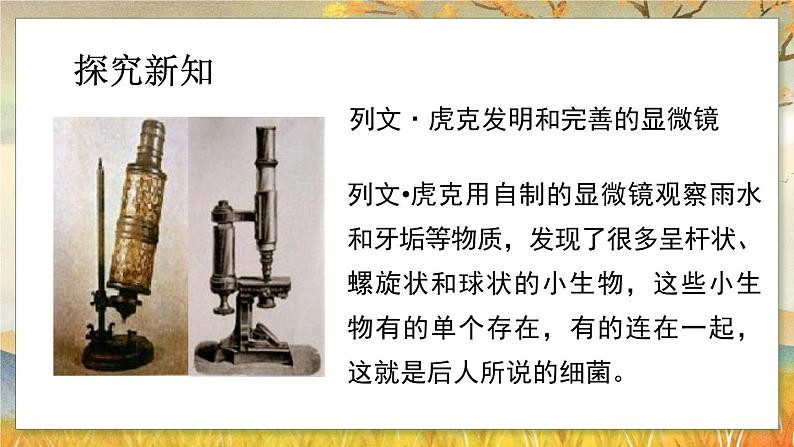 5.4.2  细菌-2024-2025学年生物八年级上册同步备课高效课件第7页