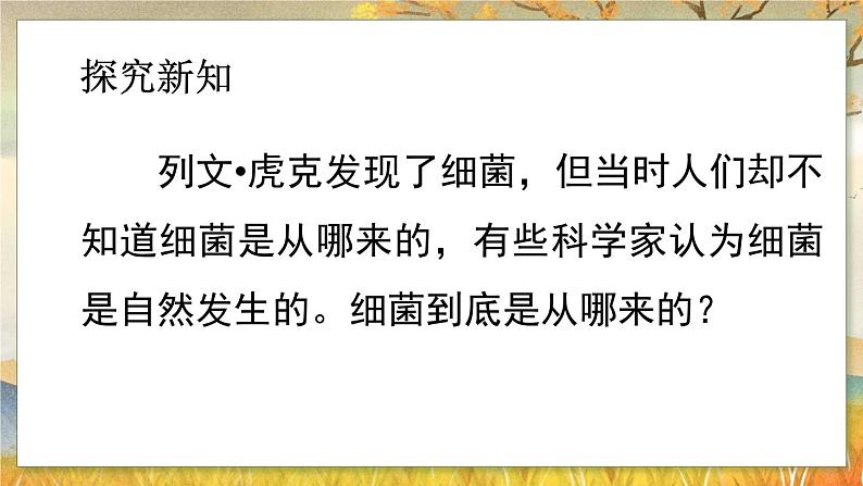 5.4.2  细菌-2024-2025学年生物八年级上册同步备课高效课件第8页