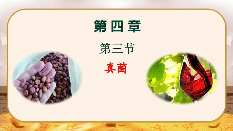 5.4.3  真菌-2024-2025学年生物八年级上册同步备课高效课件第1页