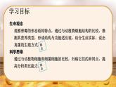 5.4.3  真菌-2024-2025学年生物八年级上册同步备课高效课件