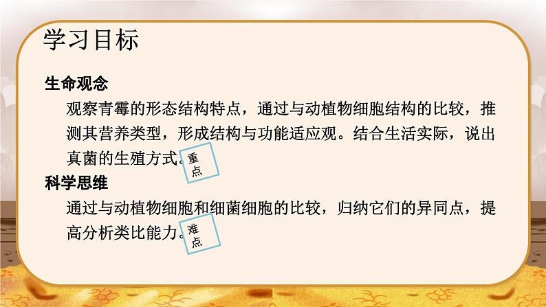 5.4.3  真菌-2024-2025学年生物八年级上册同步备课高效课件第3页