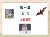 6.1.2  从种到界-2024-2025学年生物八年级上册同步备课高效课件