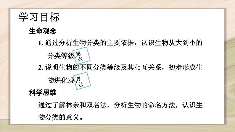 6.1.2  从种到界-2024-2025学年生物八年级上册同步备课高效课件第2页