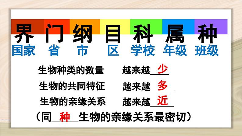 6.1.2  从种到界-2024-2025学年生物八年级上册同步备课高效课件第5页