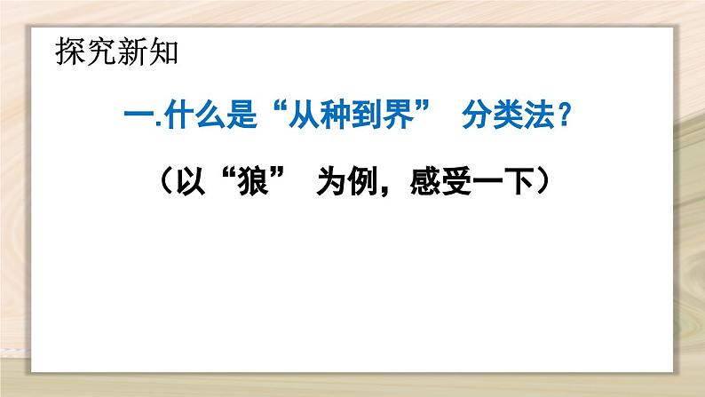 6.1.2  从种到界-2024-2025学年生物八年级上册同步备课高效课件第6页