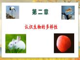 6.2  认识生物的多样性-2024-2025学年生物八年级上册同步备课高效课件
