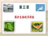 6.3  保护生物的多样性-2024-2025学年生物八年级上册同步备课高效课件