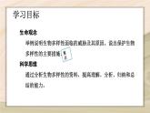 6.3  保护生物的多样性-2024-2025学年生物八年级上册同步备课高效课件