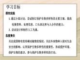 6.3  保护生物的多样性-2024-2025学年生物八年级上册同步备课高效课件