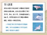 6.3  保护生物的多样性-2024-2025学年生物八年级上册同步备课高效课件