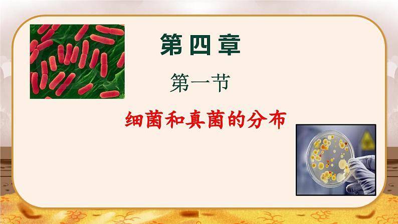 5.4.1  细菌和真菌的分布-2024-2025学年生物八年级上册同步备课高效课件第1页