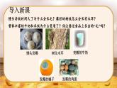 5.4.1  细菌和真菌的分布-2024-2025学年生物八年级上册同步备课高效课件
