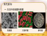 5.4.1  细菌和真菌的分布-2024-2025学年生物八年级上册同步备课高效课件