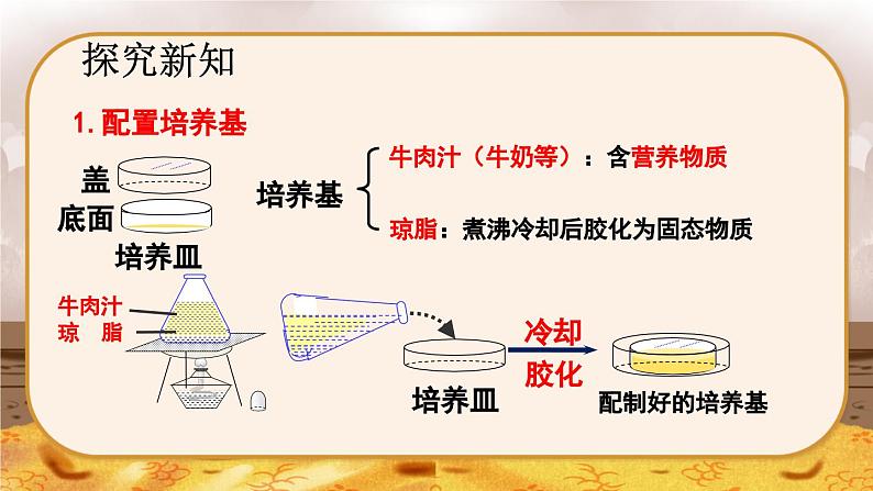 5.4.1  细菌和真菌的分布-2024-2025学年生物八年级上册同步备课高效课件第8页